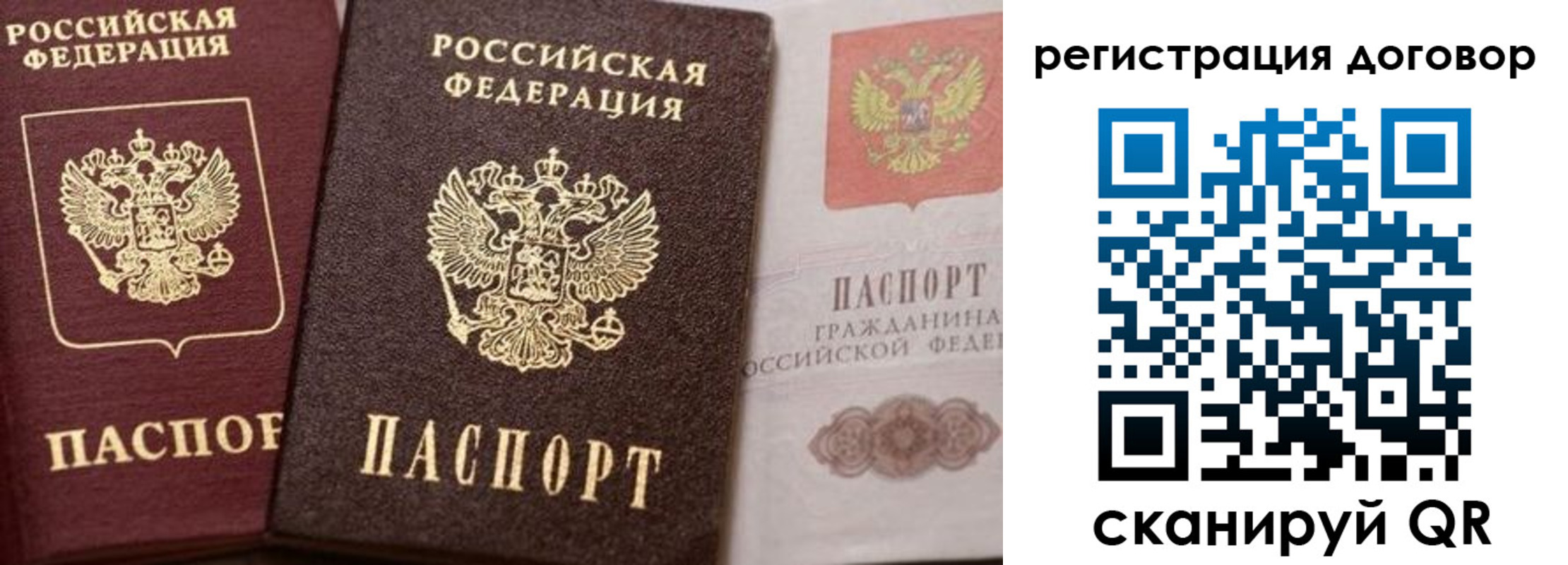 прописка 2025 в Судогде