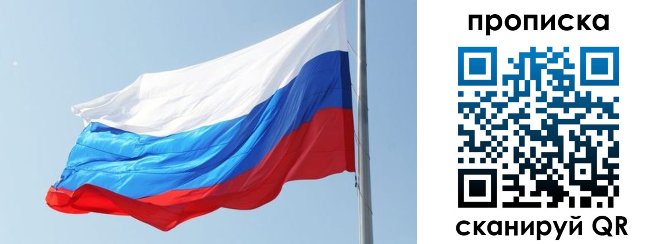прописка для школы в Судогде